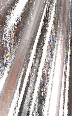 Silver Nylon Fabric 21